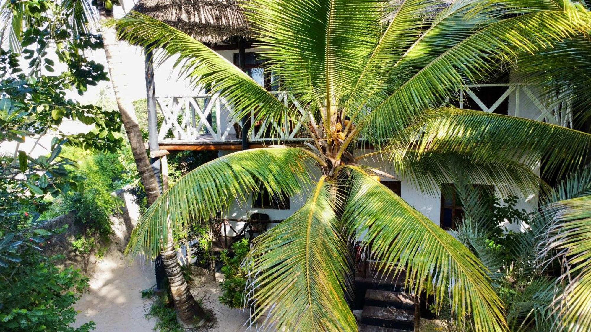 The Seles Boutique Hotel Gazija Ngoại thất bức ảnh